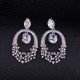 Luxury Cubic Zirconia Dangle Earrings(Platinum)